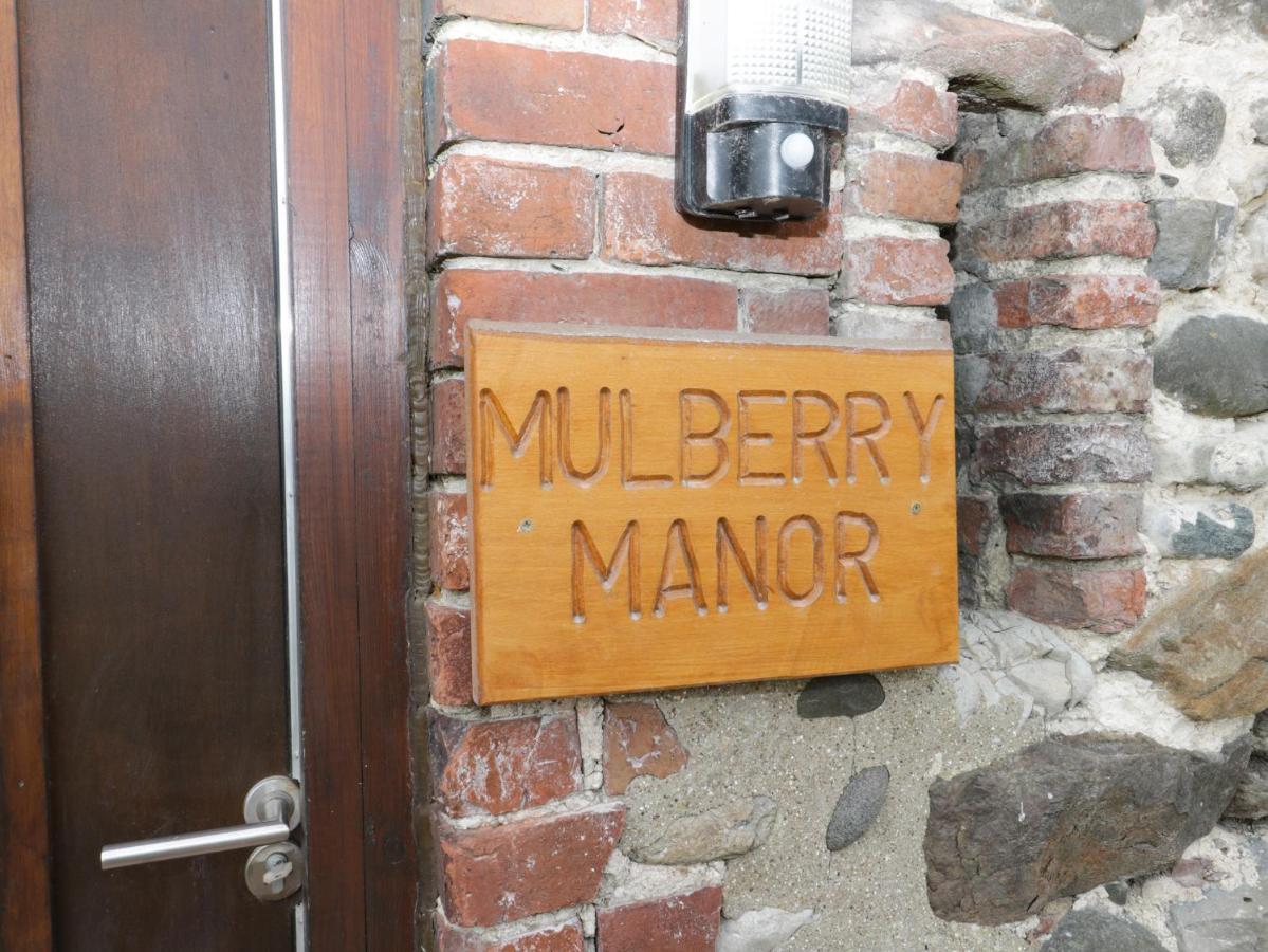 Вилла Mulberry Manor Кингстон-апон-Халл Экстерьер фото